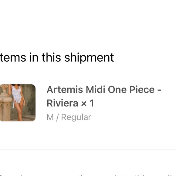 Toluca Swim One Piece - Picture 2 of 5